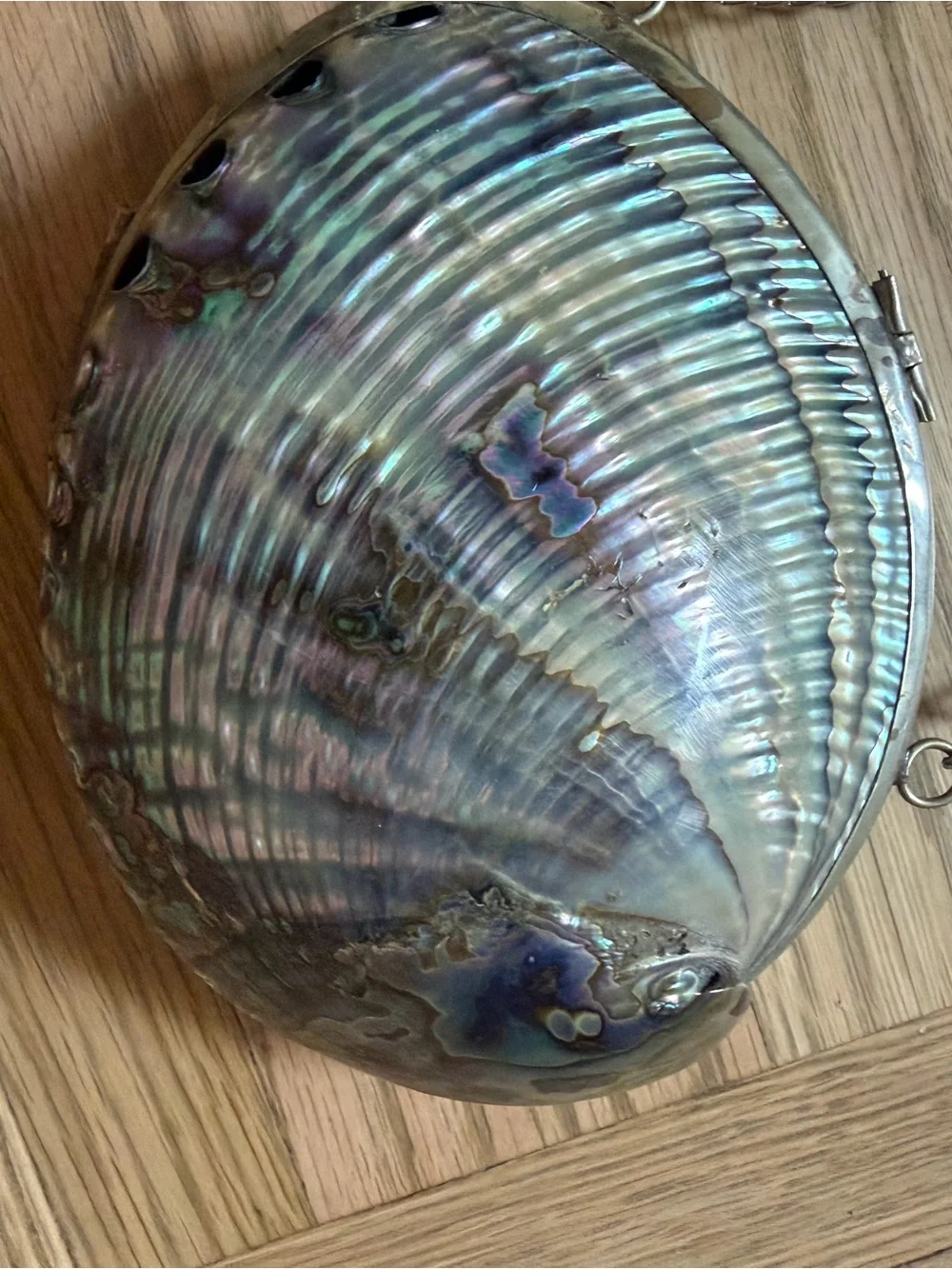 Vintage 1960s Abalone Shell Clutch Purse with iridescent shell pattern